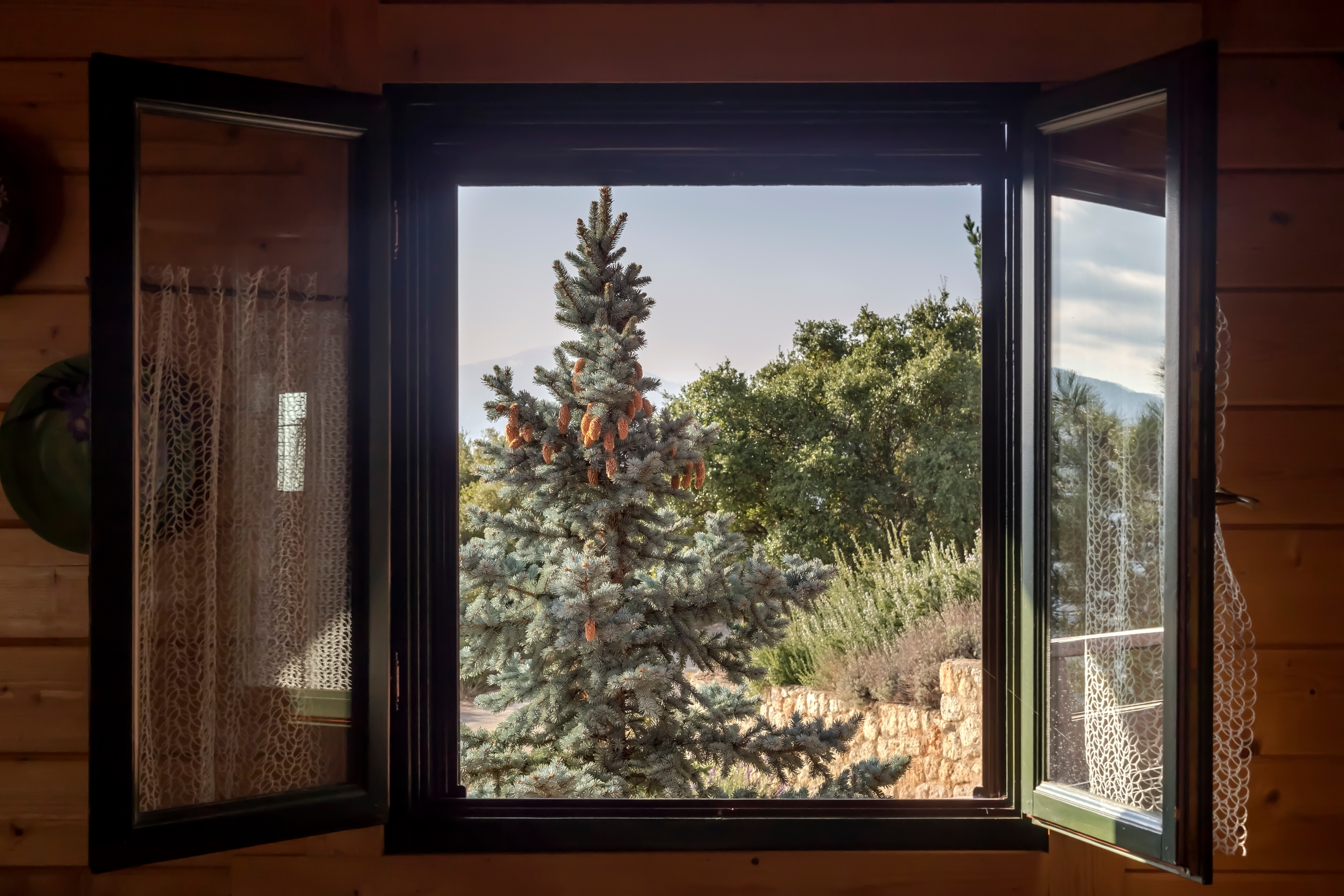 Open casement window in a log cabin with a view of a pine tree and mountain landscape.