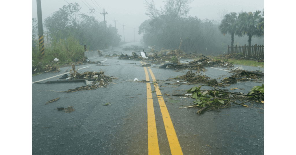 Road filled with tree branches and foliage during a hurricane