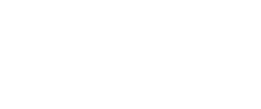Frost Financing logo featuring a white flower-like icon and 'Frost' in bold typography