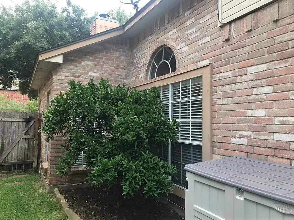 Before renovation: Brick house with older style windows and large shrubbery obstructing the view in San Antonio.
