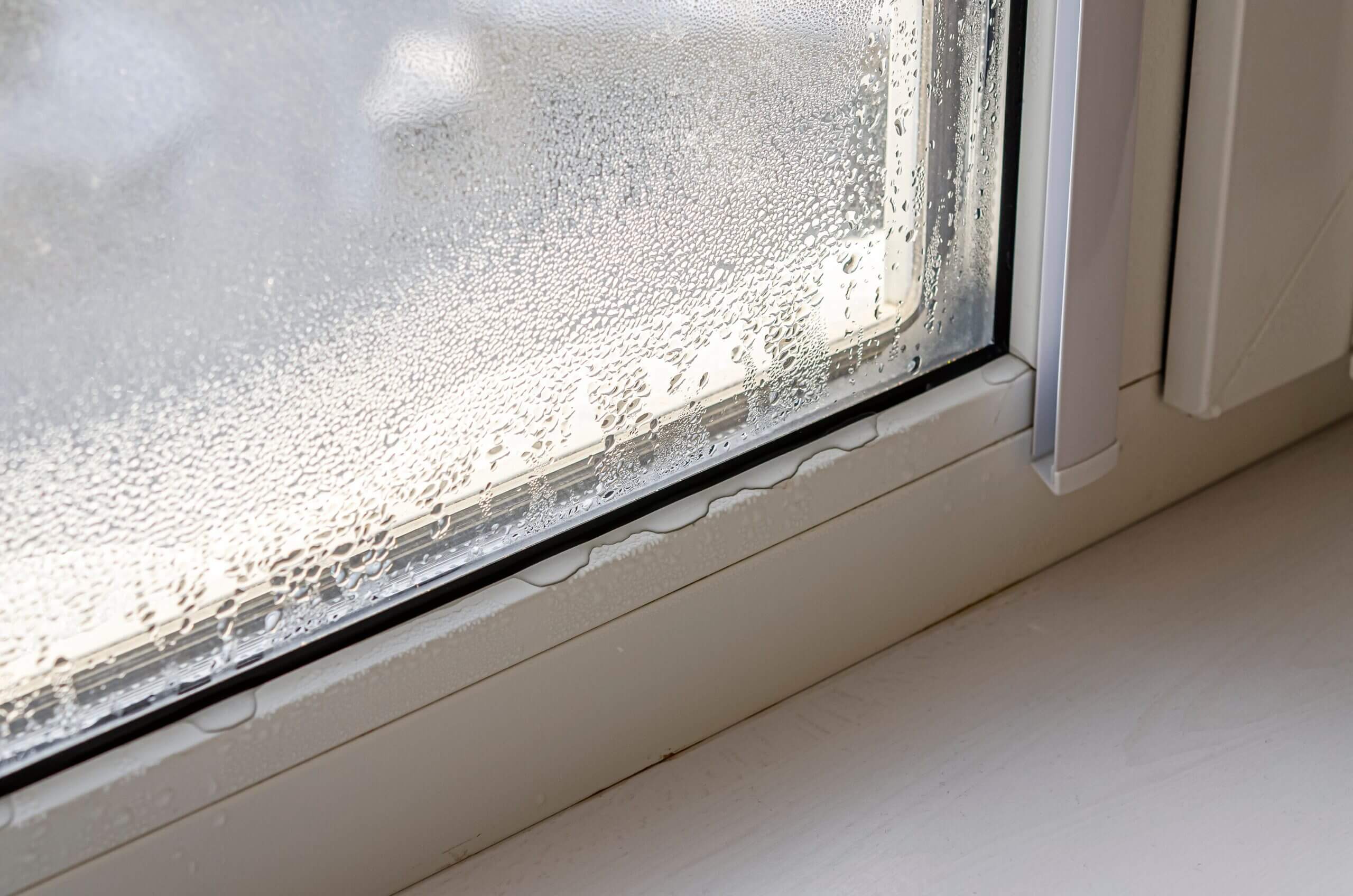 Leaky Window Leading to Condensation - Preventing Mold Growth