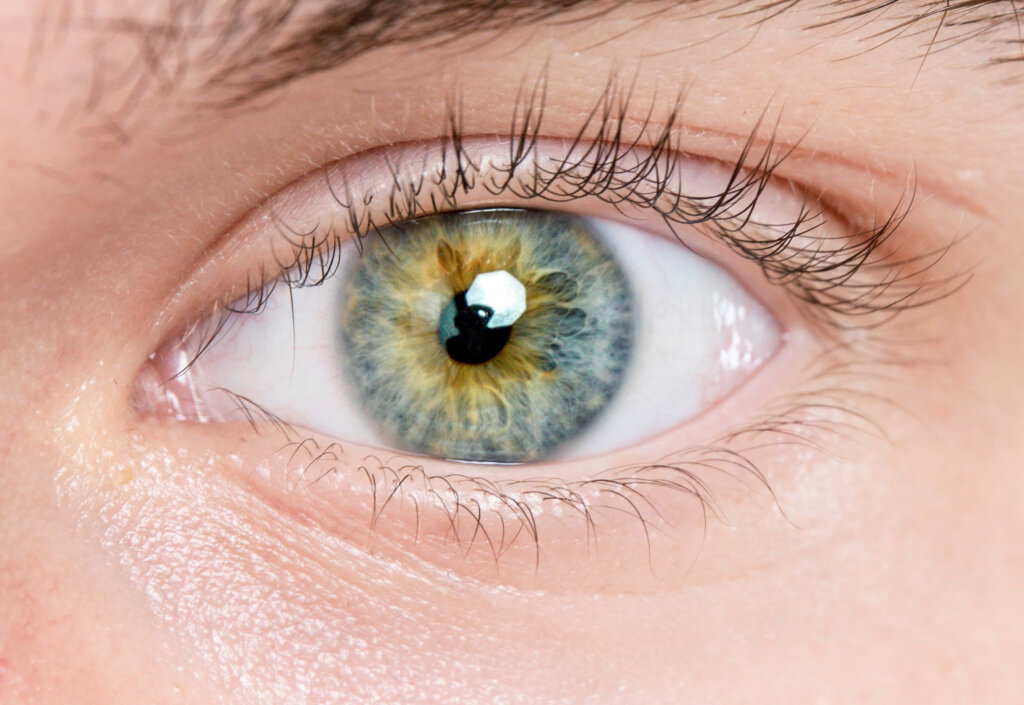 Close-up of a striking green and yellow human eye, focusing on fine details of the iris and eyelashes.