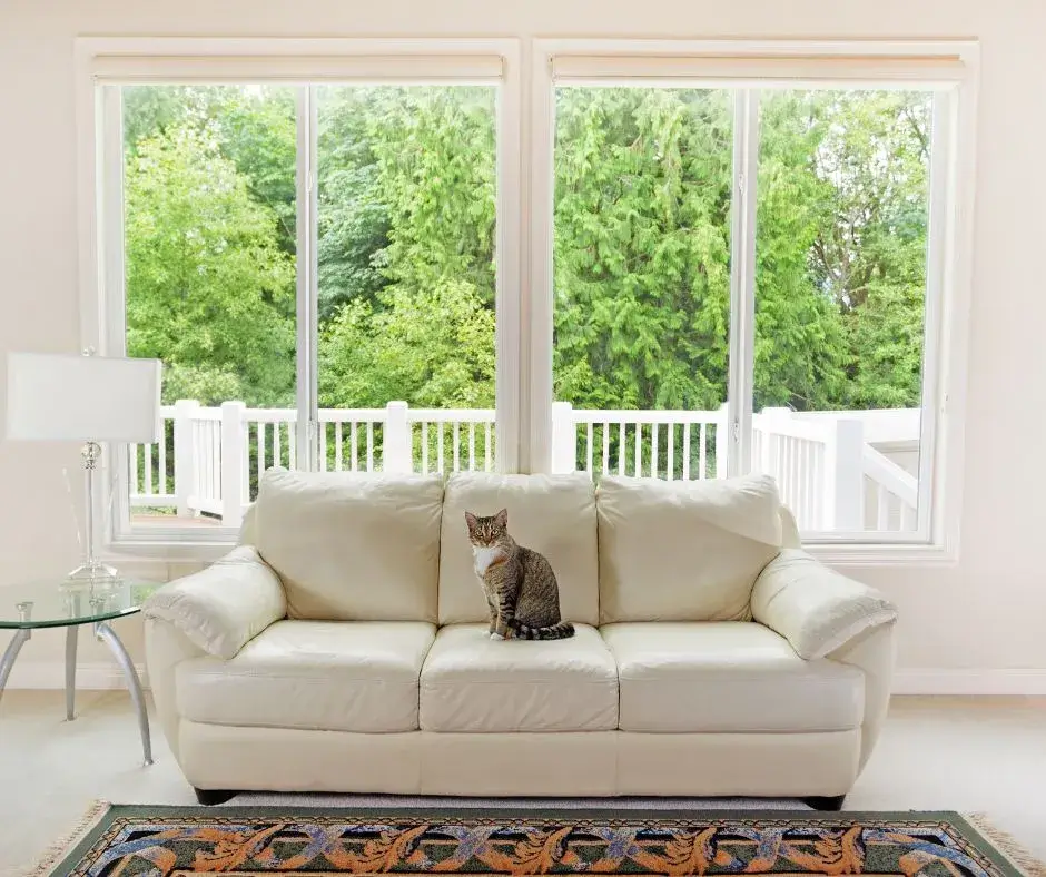 Modern living room with large windows highlighting the cost to replace windows with energy-efficient models